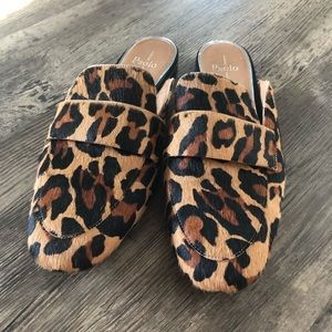 Linea and Paolo black leopard print hair mule